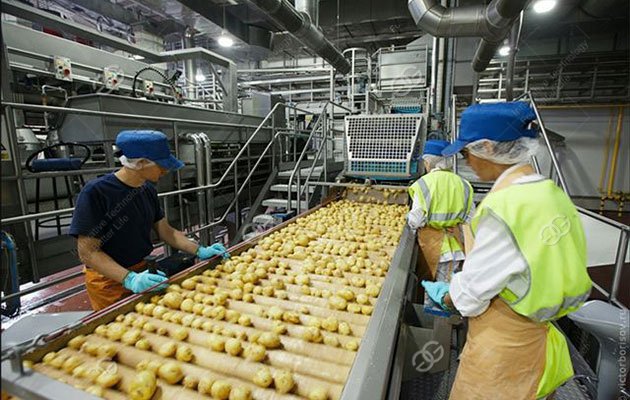 Operation points and maintain of Fried Food Production Line