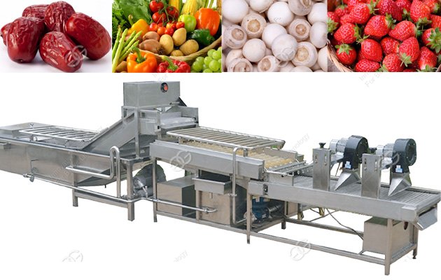 Fruit Vegetable Washer Machine