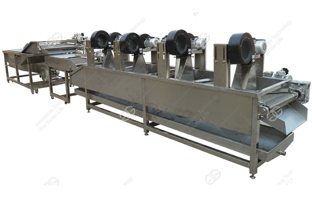 Fruit Washing Drying Machine