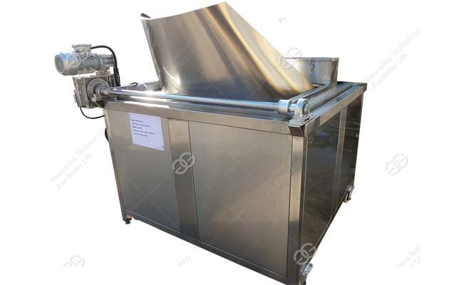 Automatic Chicken Leg Fryer Machine